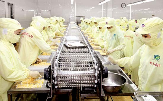A seafood processing plant in the Mekong Delta (Photo: SGGP) A seafood processing plant in the Mekong Delta (Photo: SGGP)